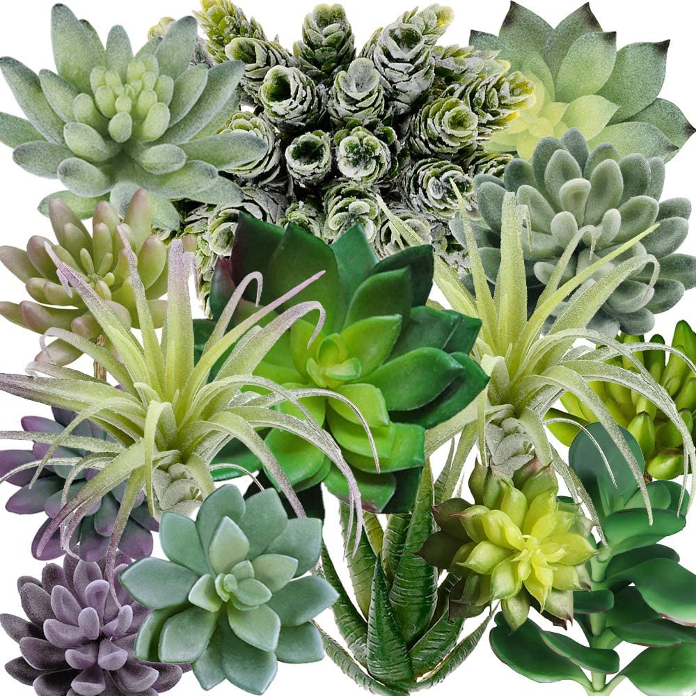String Of Pearls Plant - Набор из 15 искусственных суккулентов в