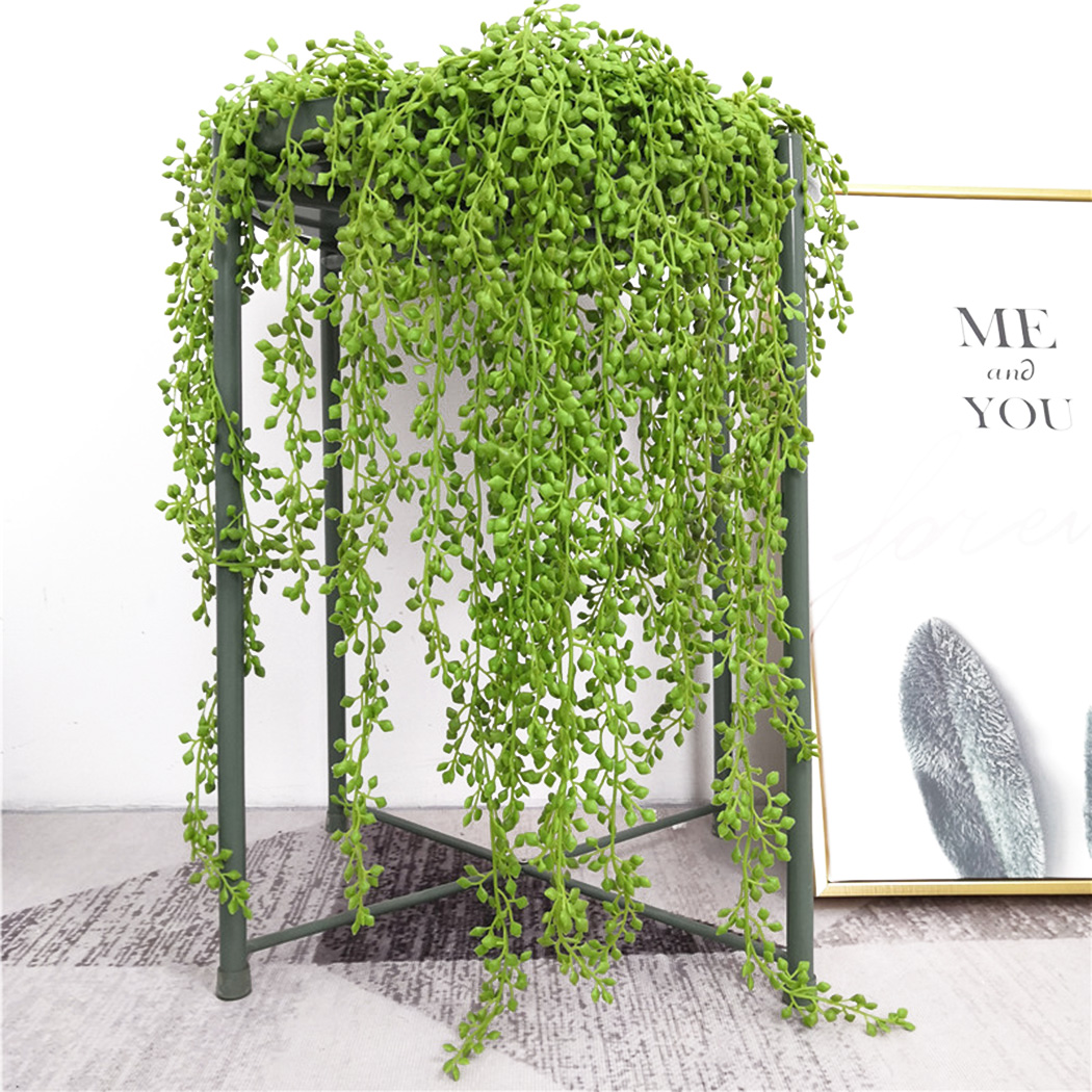String Of Pearls Plant - Искусственные растения, лозы, настенные подвесные листья