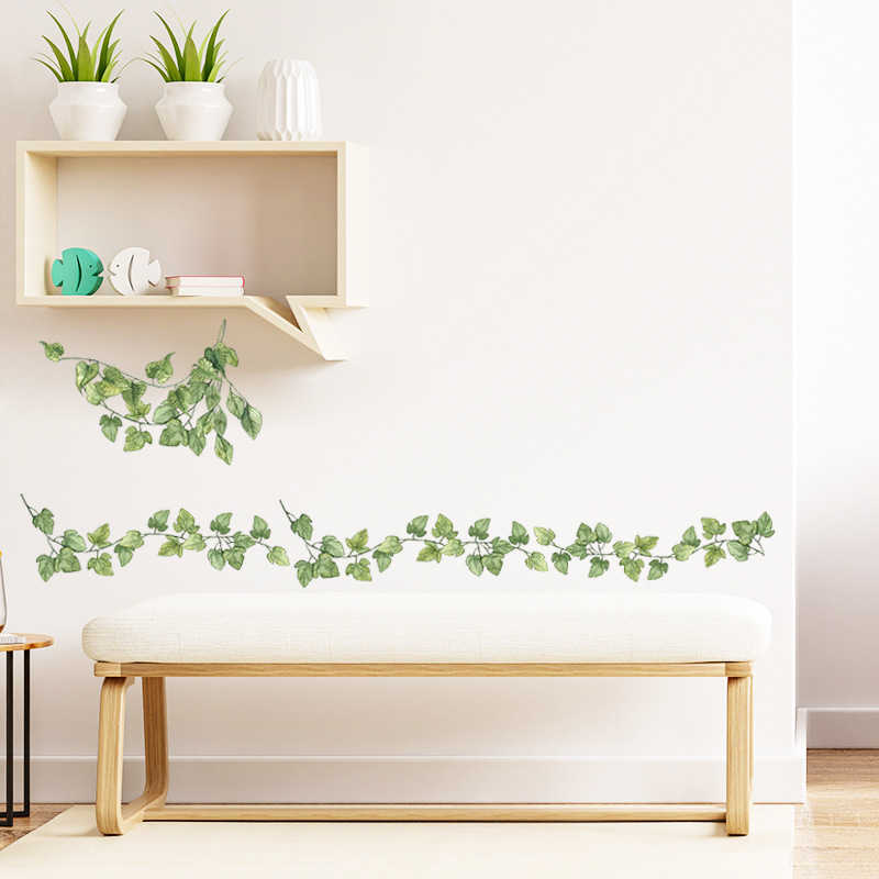 Monstera Thai Constellation - 1 шт. маленькие свежие зеленые листья