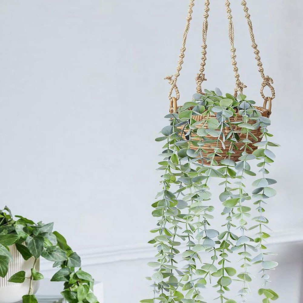 Искусственная гирлянда из плющ – обзор и цена String Of Pearls Plant
