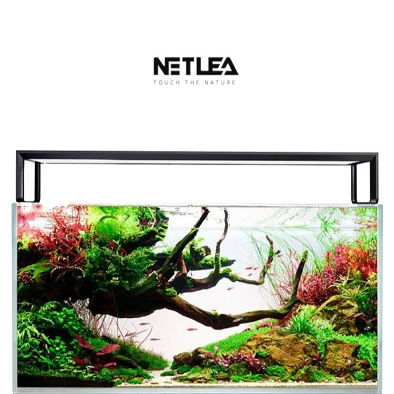 Netlea AT5S V4 Умный светодиод – обзор и цена Plant Parent App