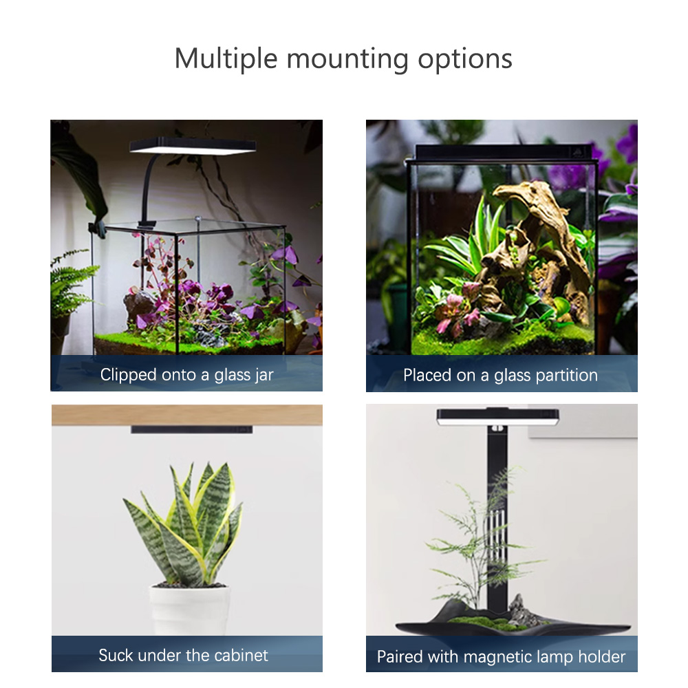 WEEK AQUA RGB + UV Новый режим – обзор и цена Plant Parent App