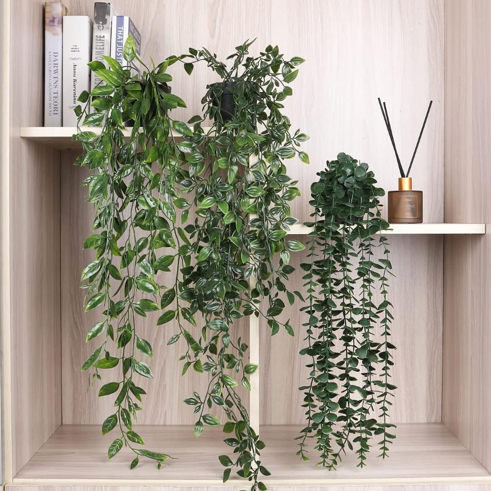 Искусственные подвесные растен – обзор и цена String Of Pearls Plant