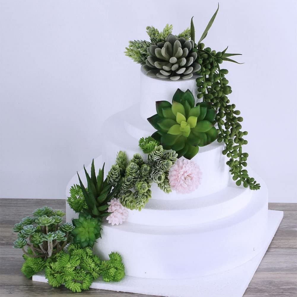 15 шт., Декоративные искусстве – обзор и цена String Of Pearls Plant