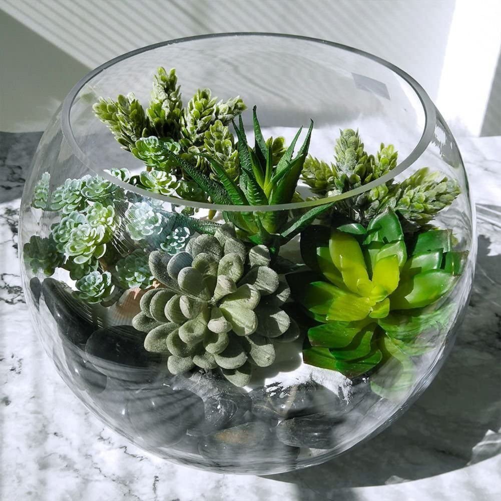 15 шт., Декоративные искусстве – обзор и цена String Of Pearls Plant