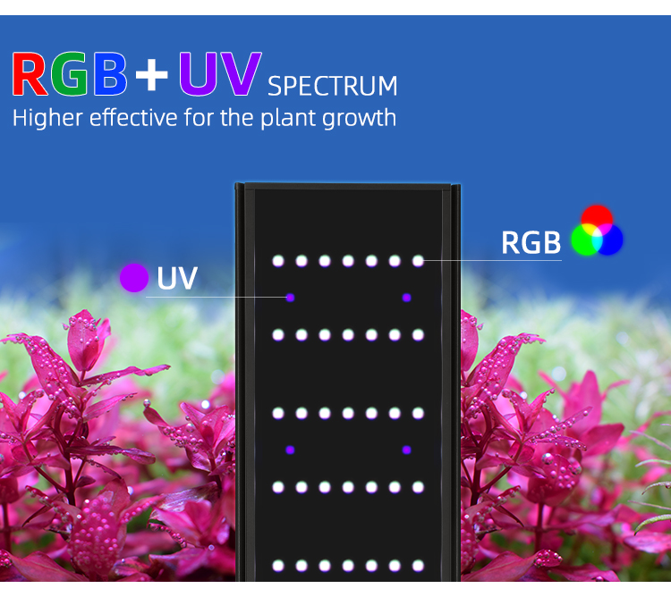 WEEK AQUA L Series APP Control – обзор и цена Plant Parent App