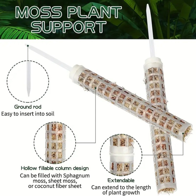 1/2/3 шт. Самополивающиеся мох – обзор и цена Monstera Thai Constellation